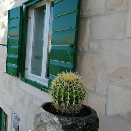 Family Apartment *